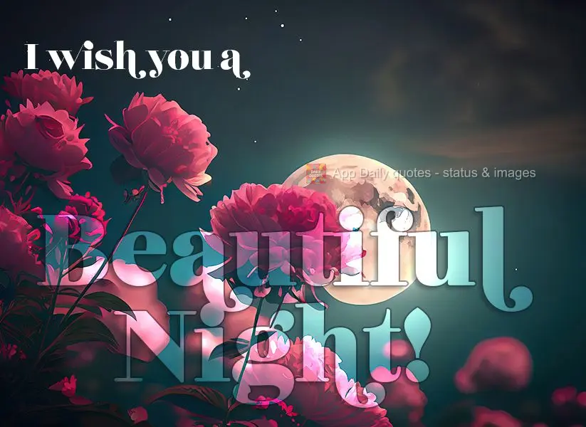 I wish you a beautiful night!