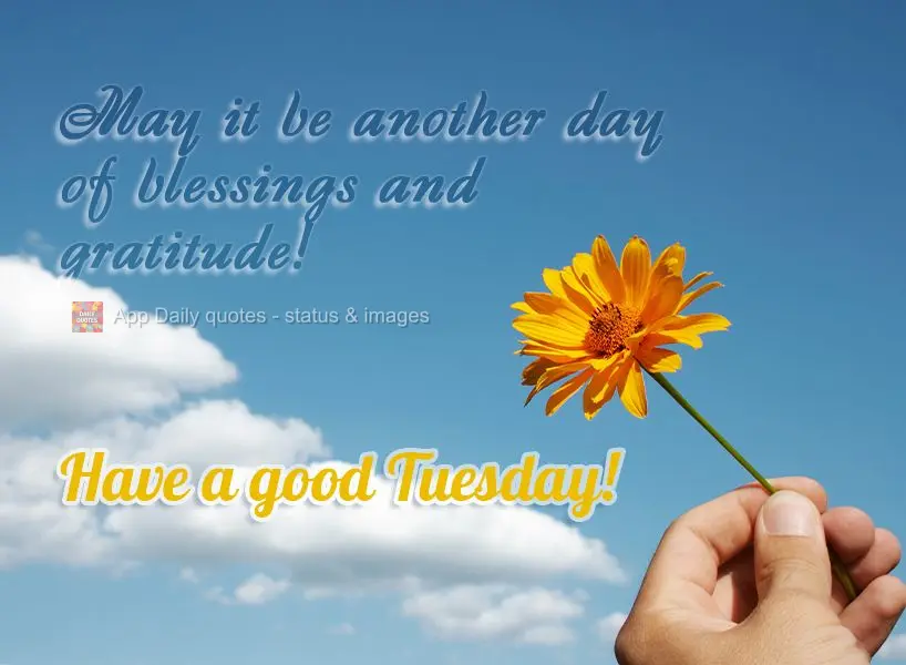 Que seja mais um dia de bênçãos e gratidão! Boa Terça-feira!