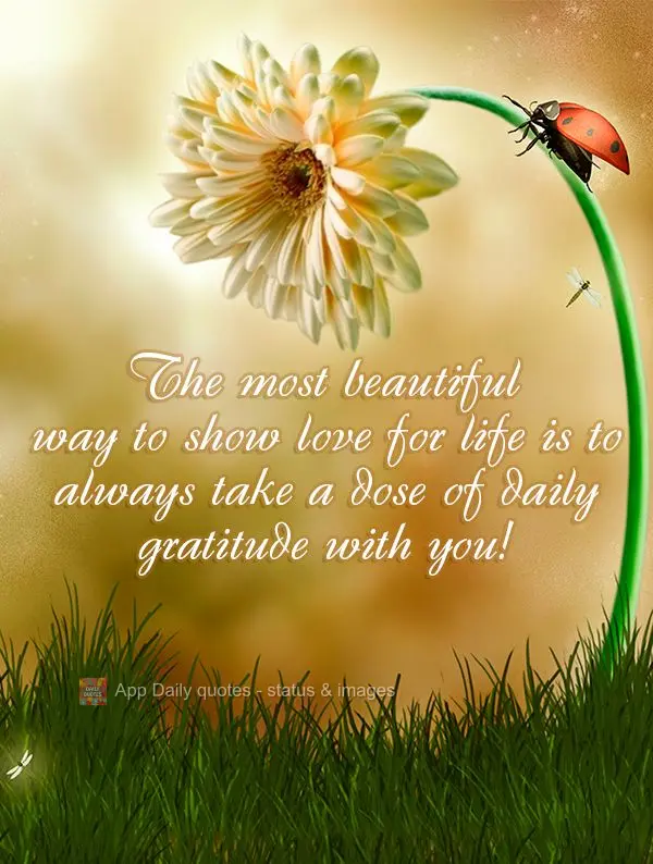 May gratitude come in the form of prayer and enrich your life with peace and blessings!