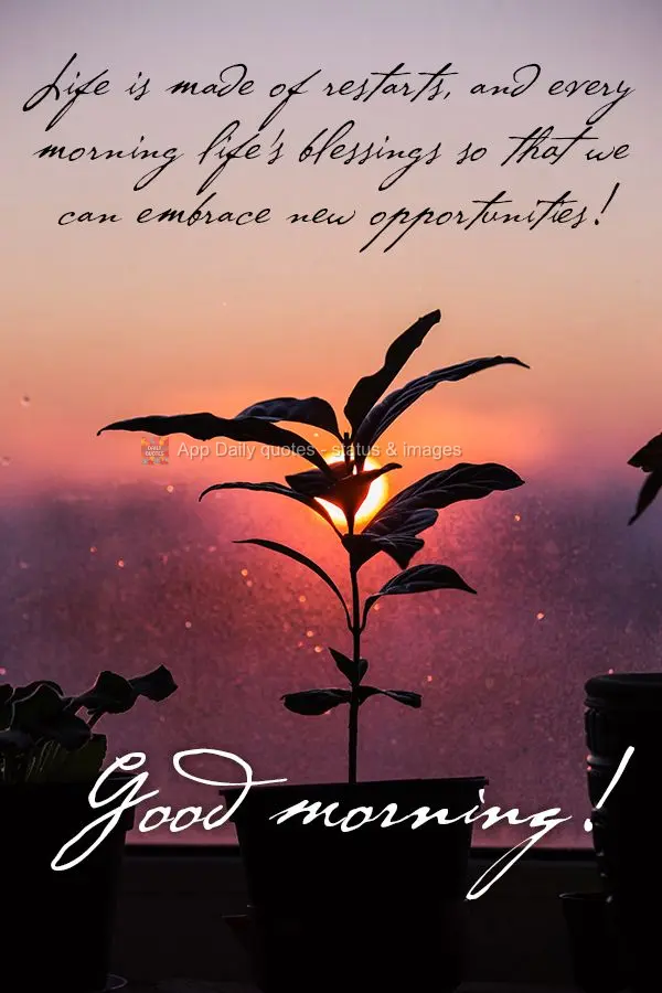 A vida é feita de recomeço, e todas manhãs bênçãos da vida para que possamos abraçar novas oportunidades! Bom dia!