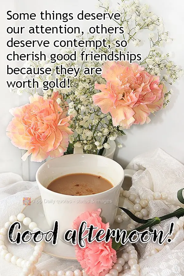 Algumas coisas merecem nossa atenção, outras merecem desprezo, por isso valorize as boas amizades porque essas valem ouro! Boa tarde!