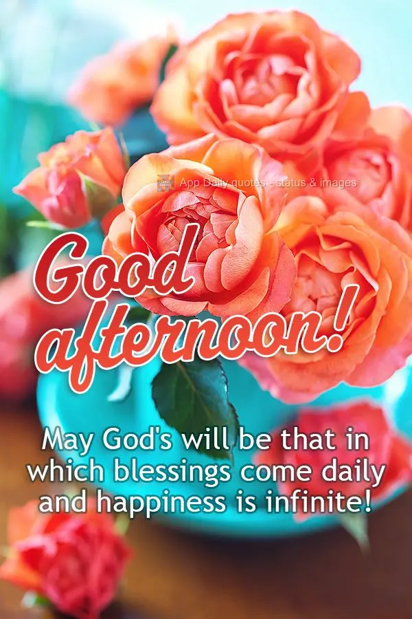 Que a vontade de Deus seja aquela em que as bênçãos sejam diárias e a felicidade infinita! Boa tarde!