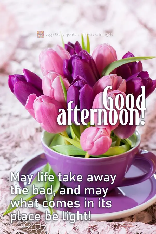 May life take away the bad, and may what comes in its place be light! Good afternoon!