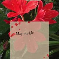 Que as bênçãos do dia venham para alegrar o seu dia, encher sua vida de gratidão e fazer mais feliz o seu coração! Bom dia!