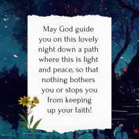Que Deus possa te guiar nesta linda noite por um caminho onde haja paz e luz, para que nada te aflija e te impeça de continuar na fé!  Boa noite!