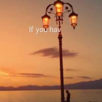 Se houver um problema procure a solução, se não tiver solução procure ter paciência.