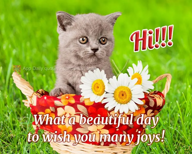 Hi!!! What a beautiful day to wish you many joys!