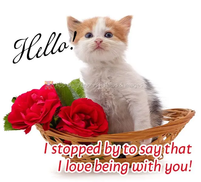 Hello! I stopped by to say that I love being with you!