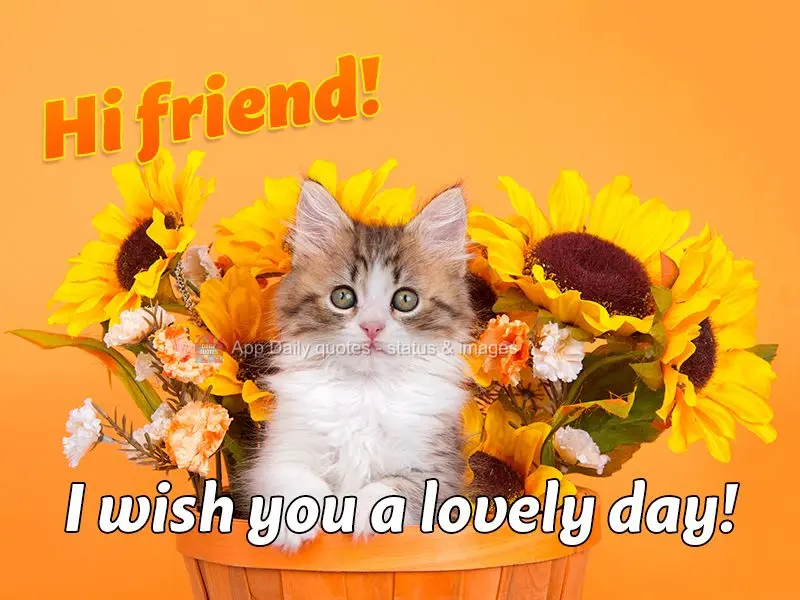 I wish you a lovely day! Hi friend!