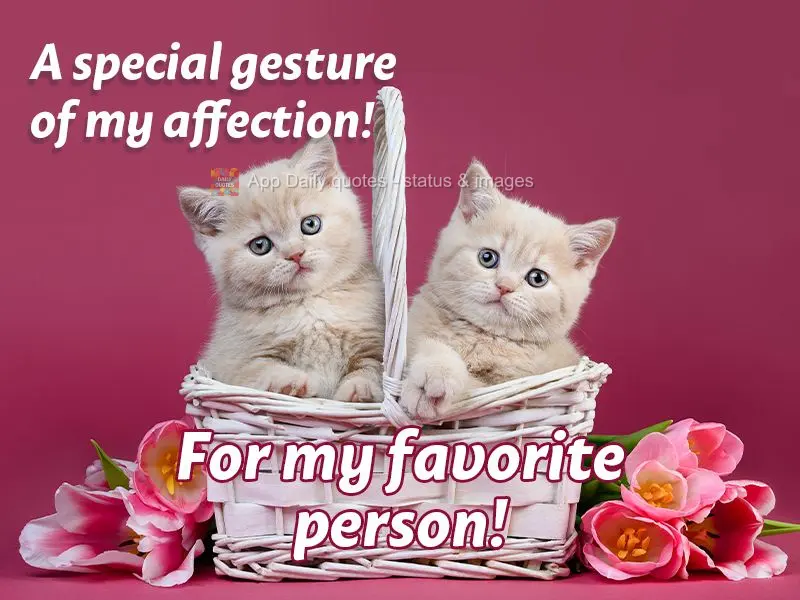 A special gesture of my affection! For my favorite person!