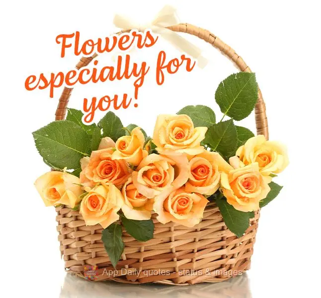 Flores especialmente para você!