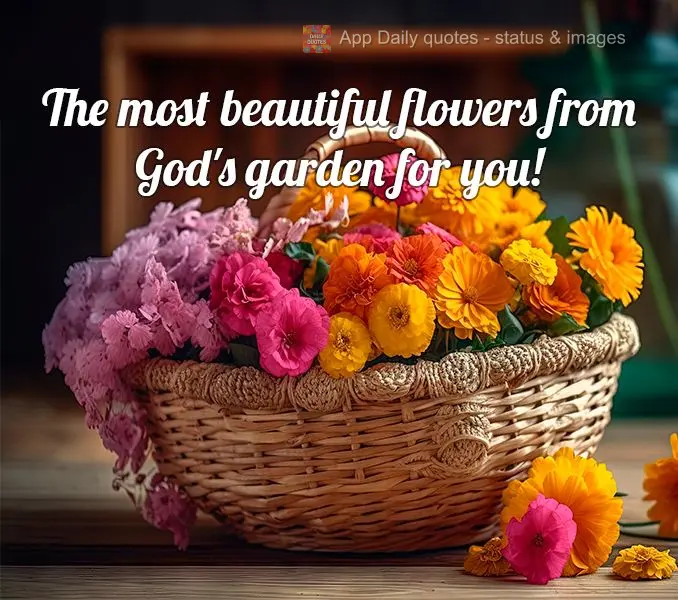 Para você as flores mais bonitas do jardim de Deus!