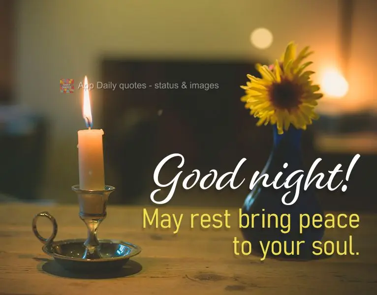 May rest bring peace to your soul. Good night!