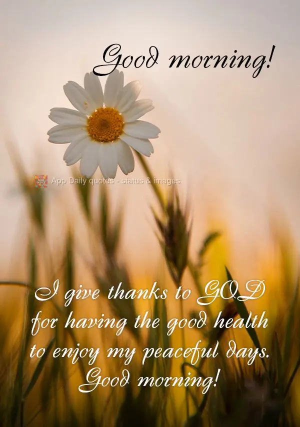 Agradeço a DEUS por ter saúde para aproveitar os meus dias de paz. Bom dia! Bom dia!