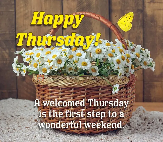 Uma quinta-feira bem-vinda é o primeiro passo para um fim de semana maravilhoso. Feliz Quinta-feira!