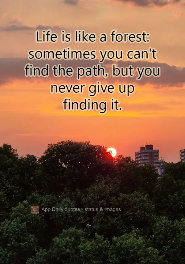 A vida é como uma floresta: às vezes você não encontra o caminho, mas você nunca desiste de procurá-lo.