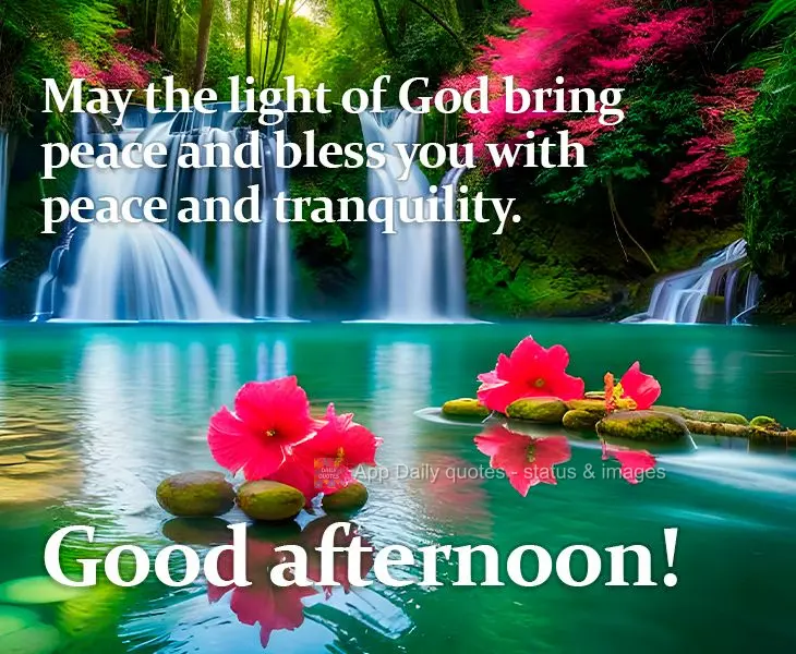 May the light of God bring peace and bless you with peace and tranquility. Good afternoon!