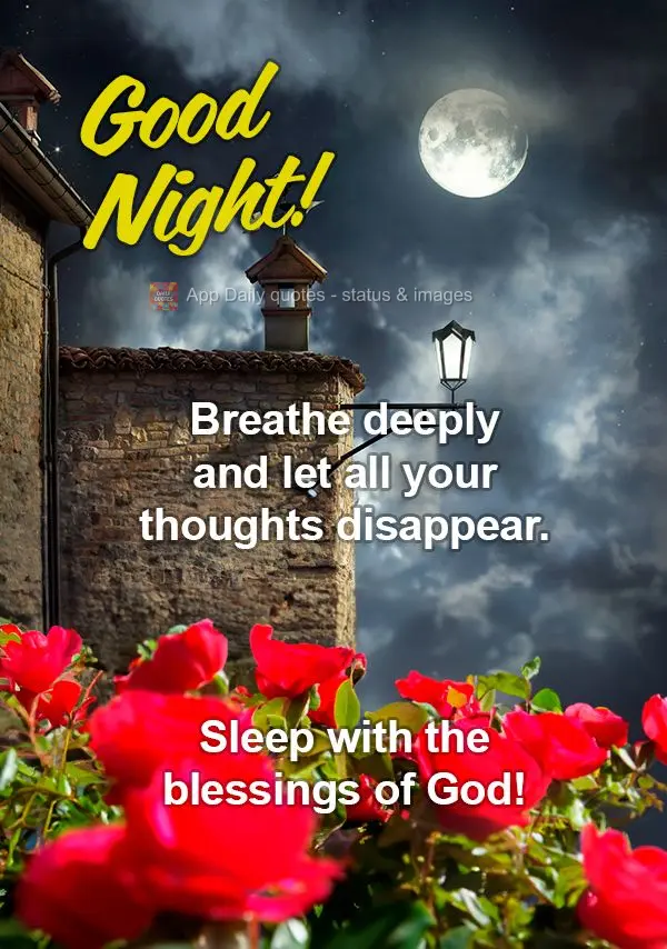 Respire fundo e deixe todos os seus pensamentos desaparecerem. Durma em com as bênçãos de Deus! Boa noite!