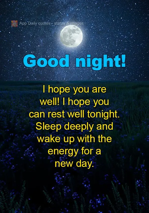 Espero que você esteja bem! Desejo que você descanse bem esta noite. Durma profundamente e que a manhã chegue com energia para um novo dia. Boa noite!...