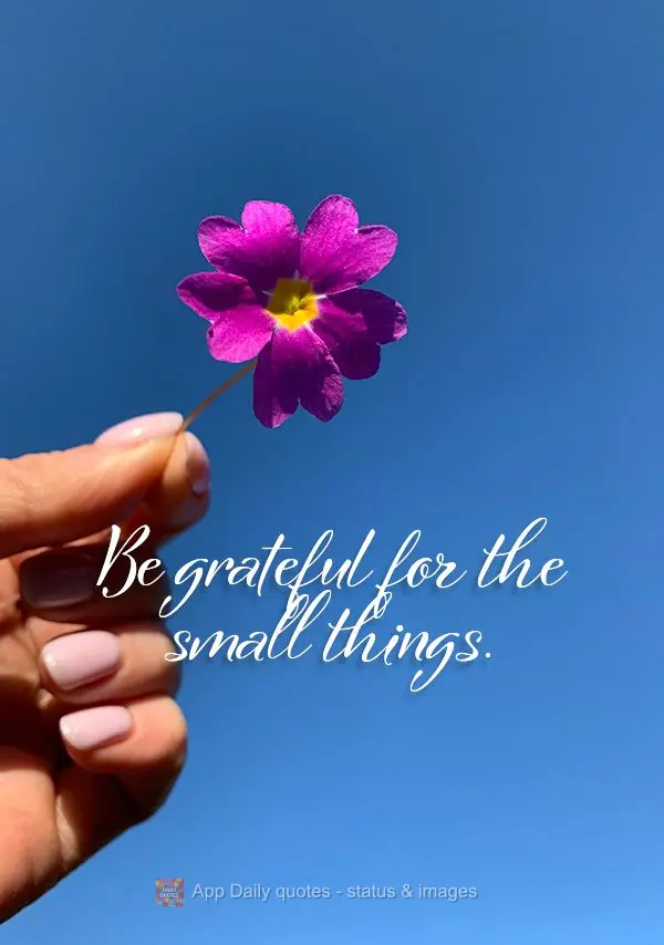 Seja grato pelas pequenas coisas.