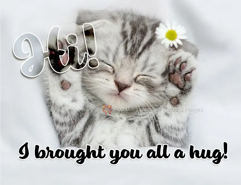 Hi! I brought you all a hug!