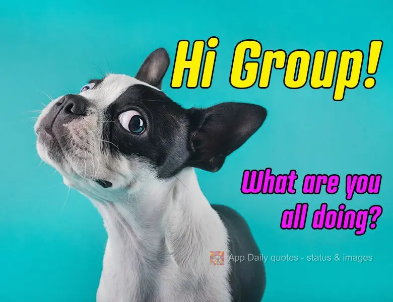 Hi Group! What are you all doing?