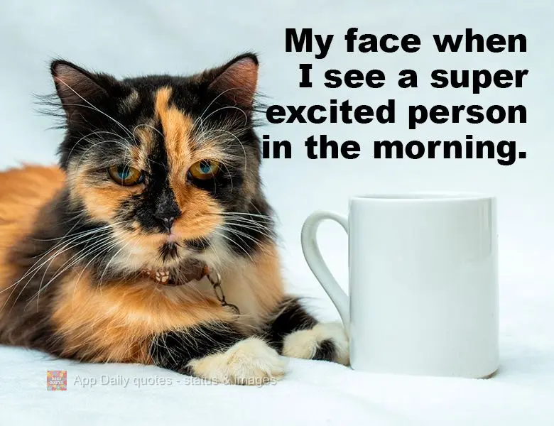 My face when I see a super excited person in the morning.