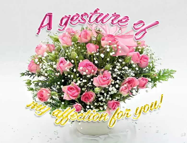 A gesture of my affection for you!