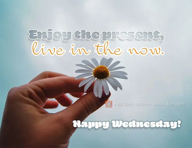 Enjoy the present, live in the now. Happy Wednesday!