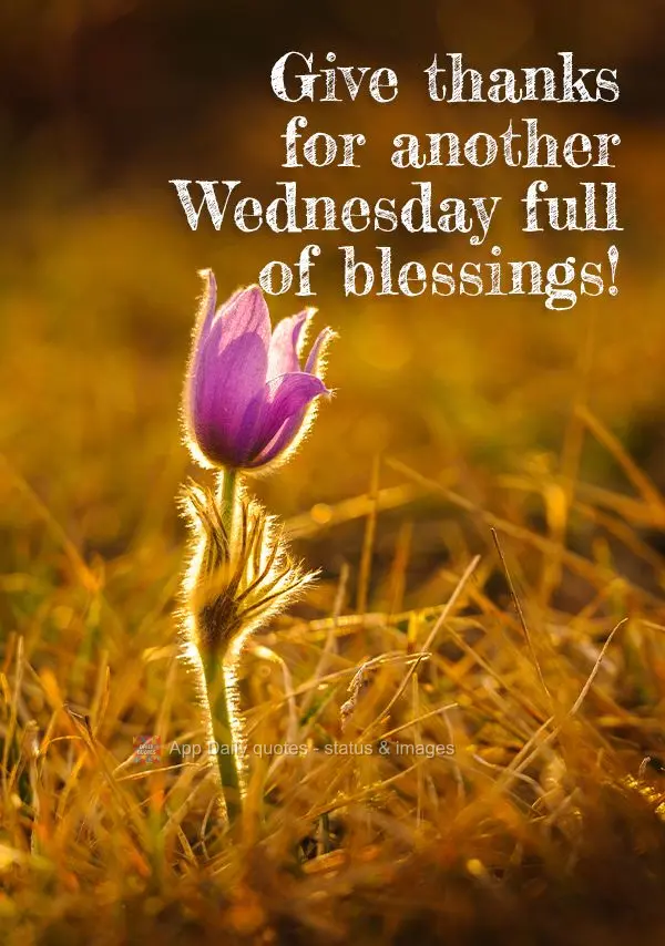 Agradeça por mais uma Quarta-feira cheia de bênçãos!