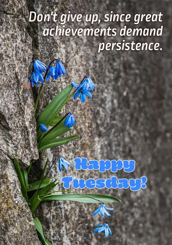 Não desista, pois as grandes conquistas demandam persistência. Feliz Terça-feira!