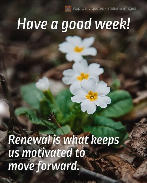 Renewal is what keeps us motivated to move forward. Have a good week!