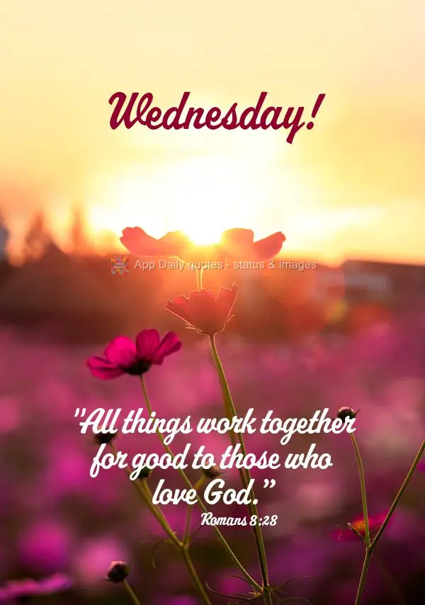 "All things work together for good to those who love God.” Wednesday! Romans 8:28
