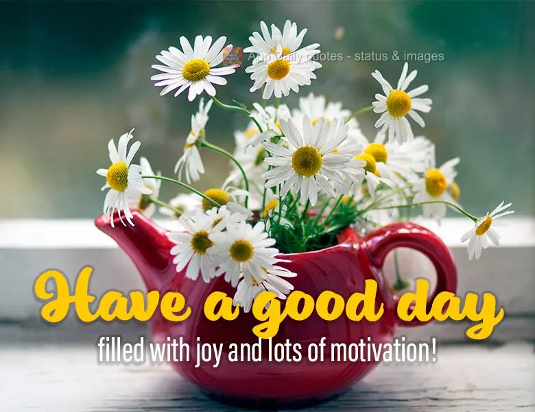 Have a good day filled with joy and lots of motivation!