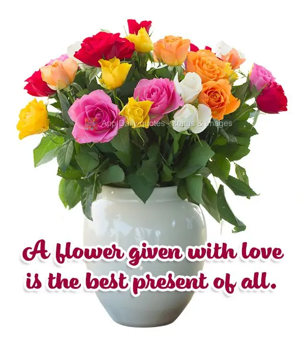 Uma flor dada com amor é o melhor presente de todos.