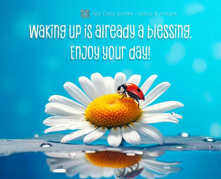 Acordar já é uma bênção, aproveite o seu dia!
