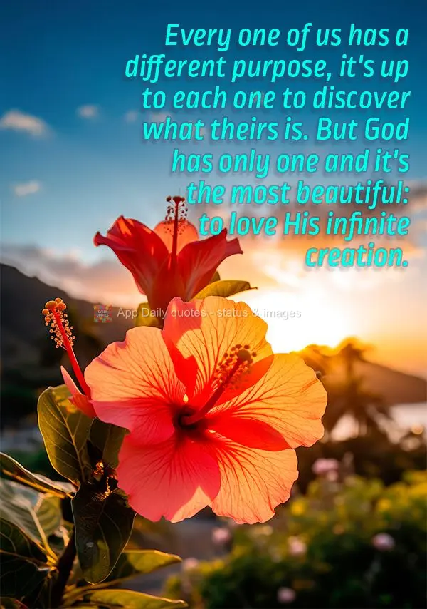Todos temos um propósito diferente, cabe a cada um descobrir qual é o seu. Mas o propósito de Deus é um só e o mais lindo: amar a sua criação infi...