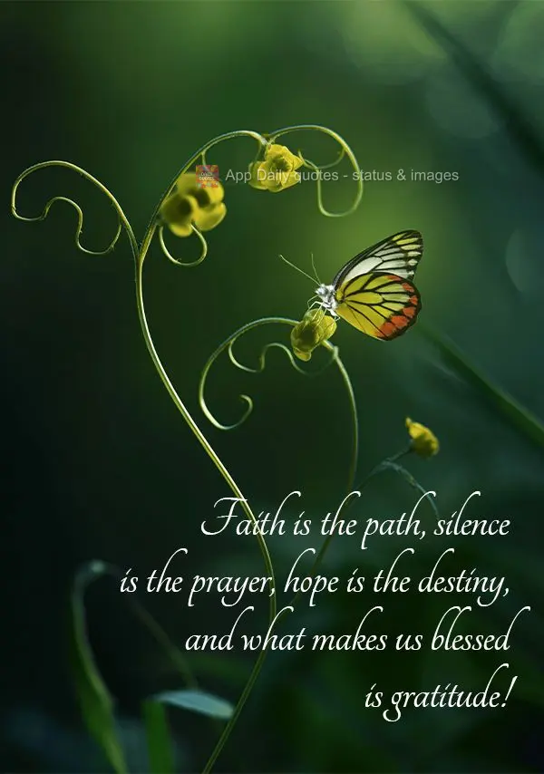 Faith is the path, silence is the prayer, hope is the destiny, and what makes us blessed is gratitude!