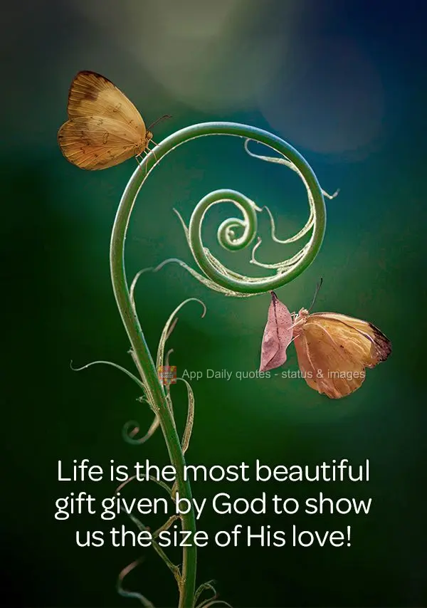 Life is the most beautiful gift given by God to show us the size of His love!