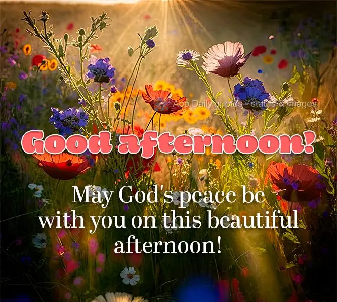 Que a paz de Deus esteja com você nesta bonita tarde! Boa tarde!