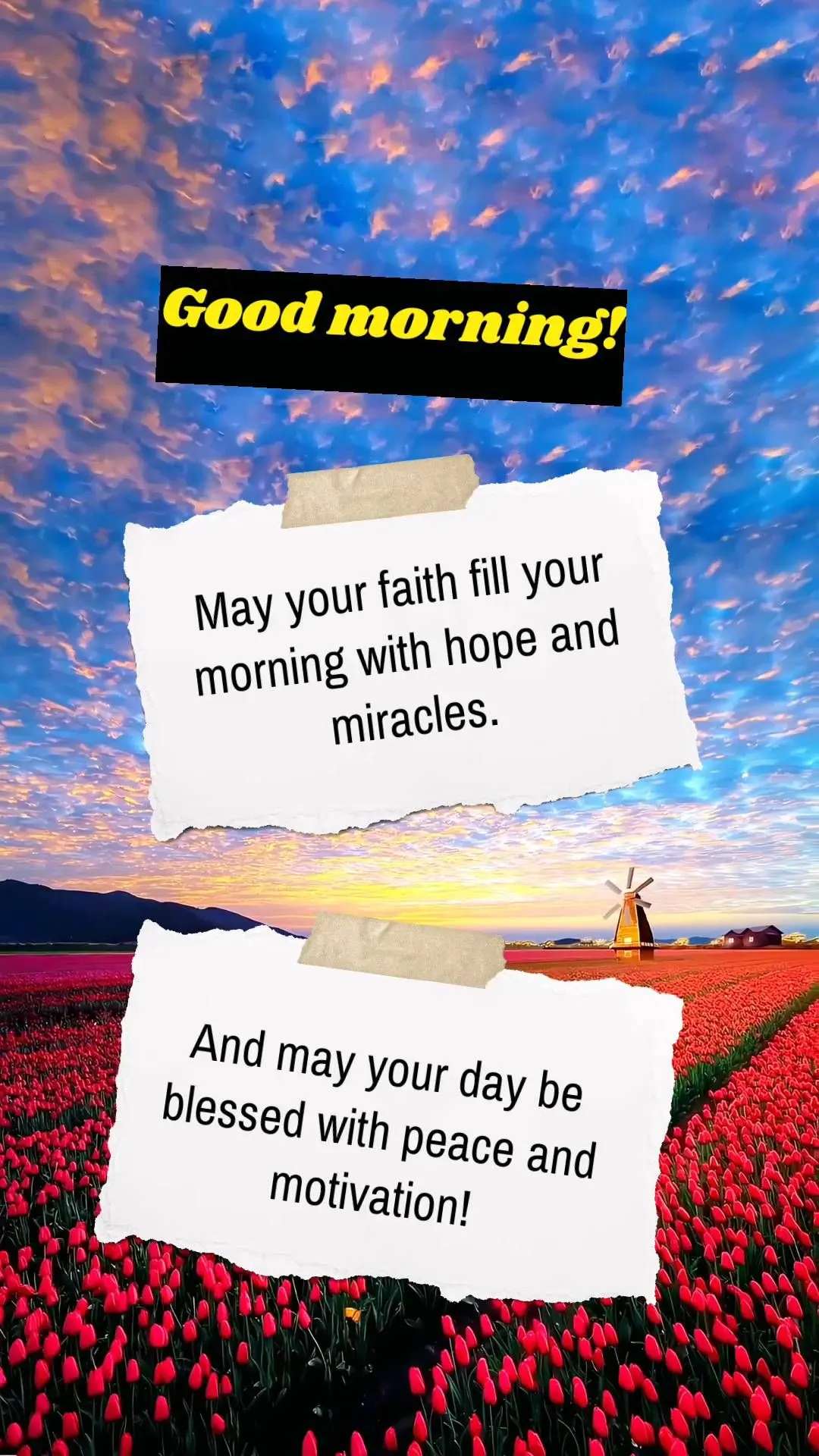 Que a tua fé encha sua manhã de esperança e milagres. E que seu dia seja abençoado com paz e motivação! Bom dia!