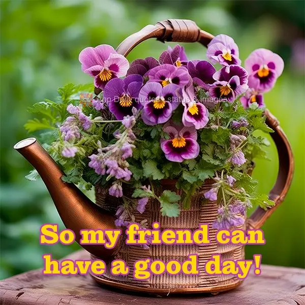 So my friend can have a good day!