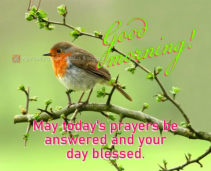 May today's prayers be answered and your day blessed. Good morning!