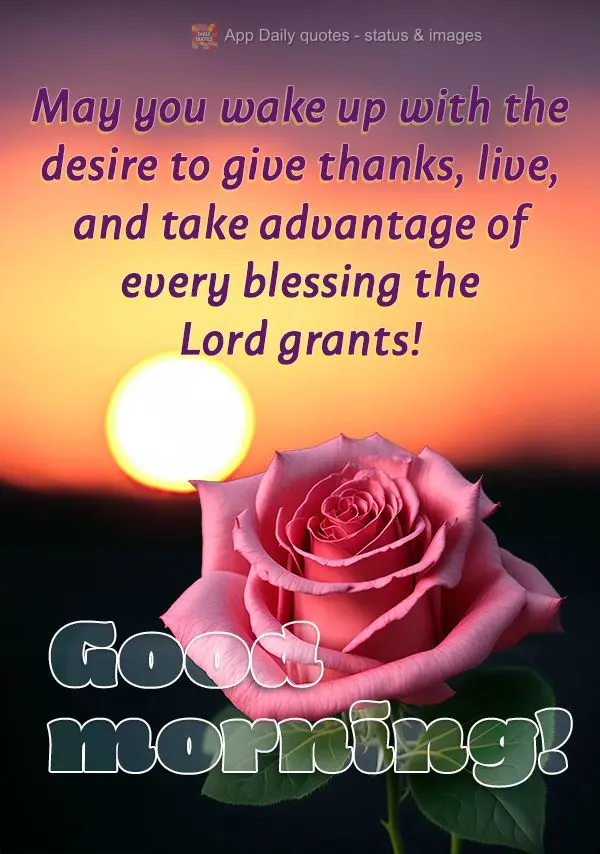 Que você acorde com vontade de agradecer, viver e aproveitar cada bênção concedida pelo Senhor! Bom dia!