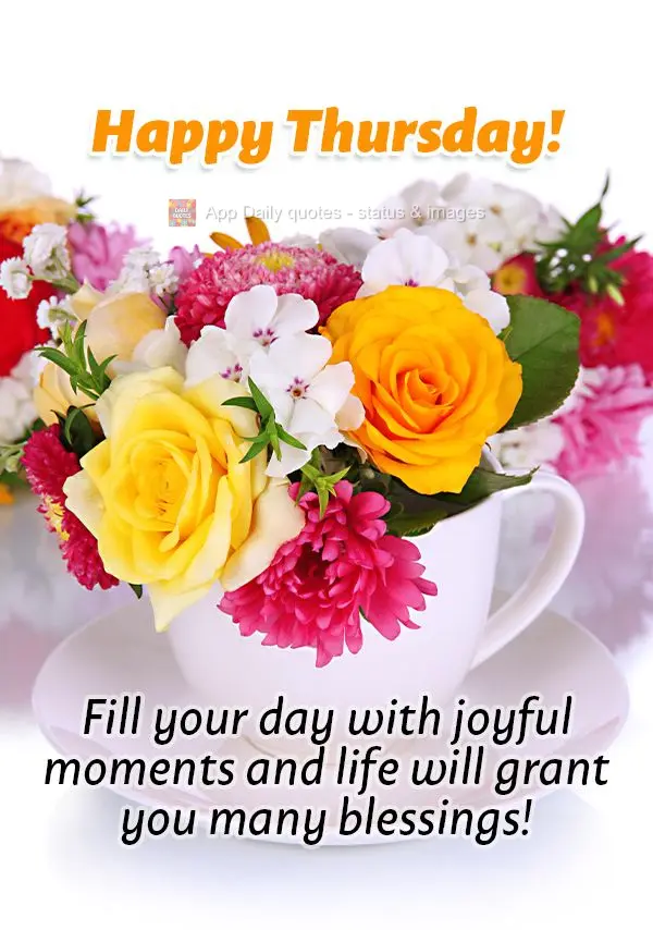 Fill your day with joyful moments and life will grant you many blessings! Happy Thursday!