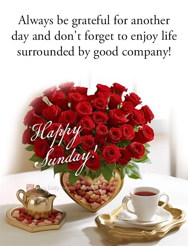 Seja sempre grato por mais um dia e não se esqueça de aproveitar a vida em boa companhia! Feliz Domingo!