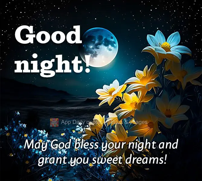 Que Deus abençoe a sua noite e lhe entregue doces sonhos! Boa noite!