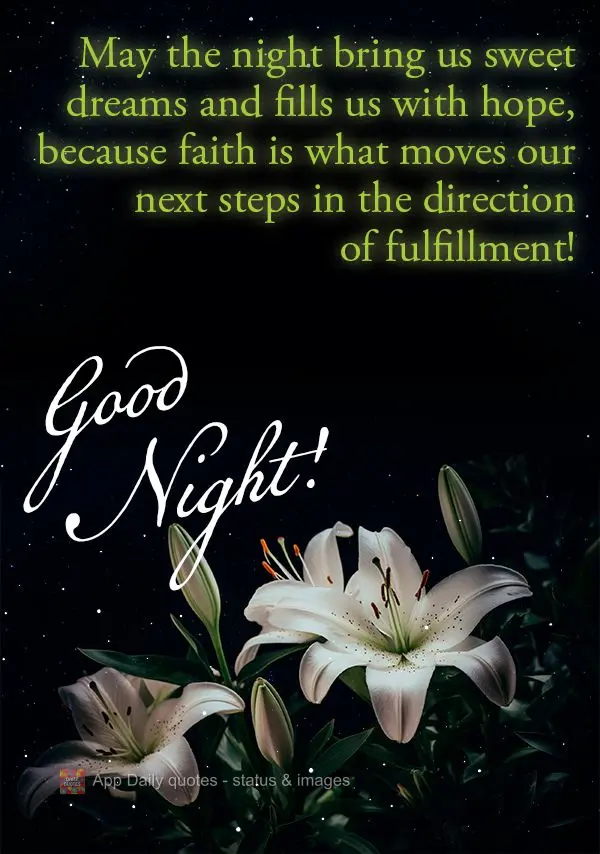 Que o noite nos traga doces sonhos e nos encha de esperança, pois a fé é o que move nossos próximos passos em direção da realização! Boa noite!...