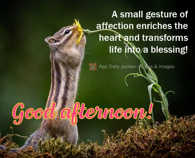 Um pequeno gesto de carinho enriquece o coração e transforma a vida em bênção! Boa tarde!