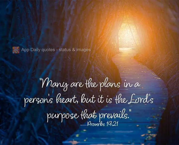 "Many are the plans in a person's heart, but it is the Lord's purpose that prevails." Proverbs 19:21